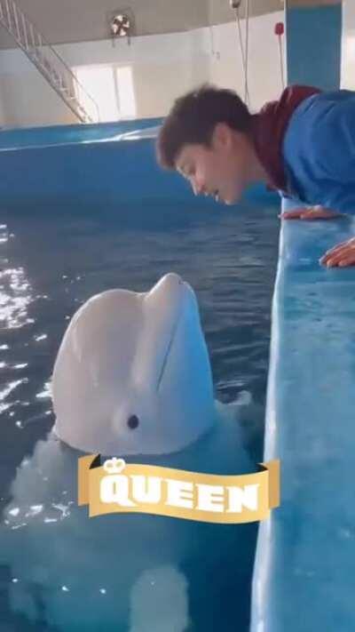 bizi böyle seven olmadı amına koyim