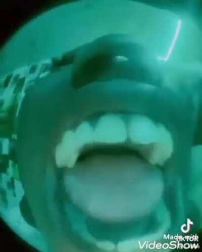 Every Purse Owner singer in one song 😳😳😳🤯🤯🤯🤯