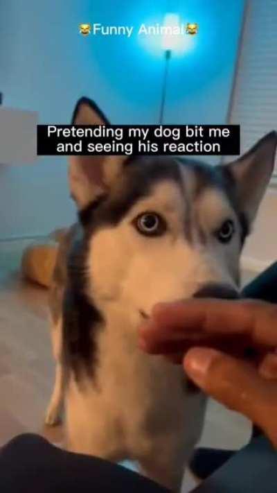 They Care So Much About Us 🥺❤☺