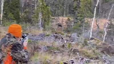 They do say third time's the charm