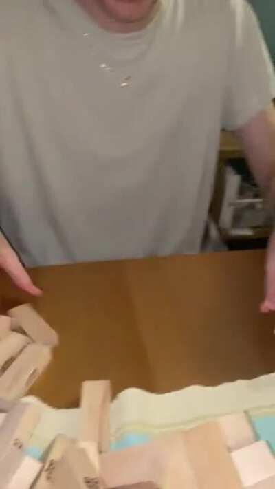 Our cat Chunky wanted to play Jenga with us.