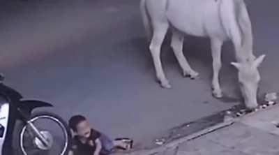 Parent leaves kid alone with a horse