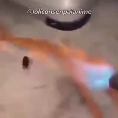 Sana makita ni kuya Kris!!