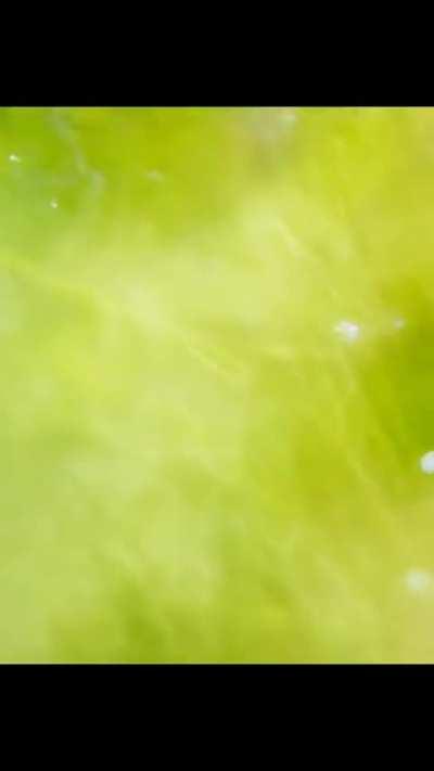 Have a wonderful day everyone - the world is an amazing place - and we are all so fortunate to be here. ❤️