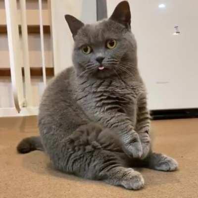 Bounth bounth bounth