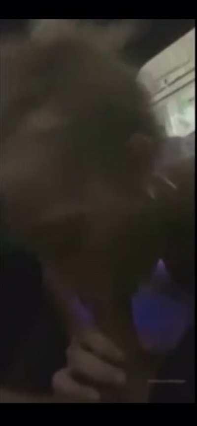 u_deny-zentic - Video #2109