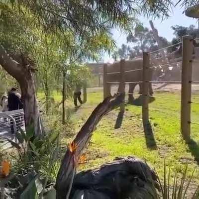 Anything for a photo op