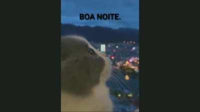 Boa noite.