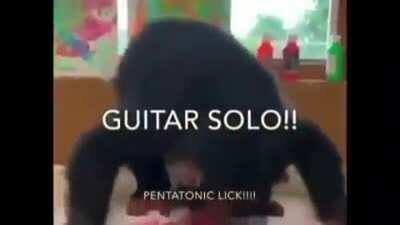 MUTLU MAYMUN GÜNÜ WOOOOOO