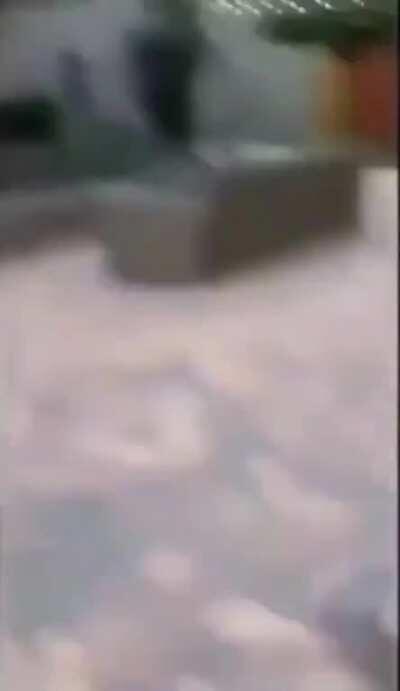 WHO EDITED THIS LMFAO 😂😂😂