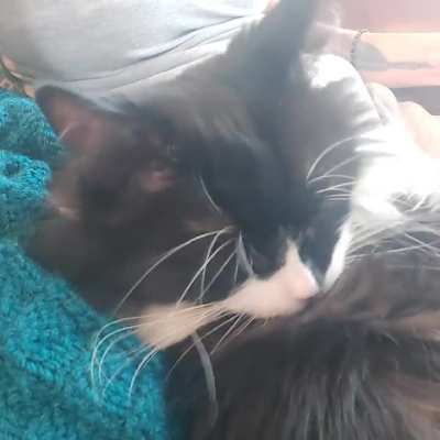 Molly makes eye contact as she cleans and snuffles 🤣