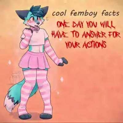 Bob Wicks likes his femboys like he likes his women: without the pancreas