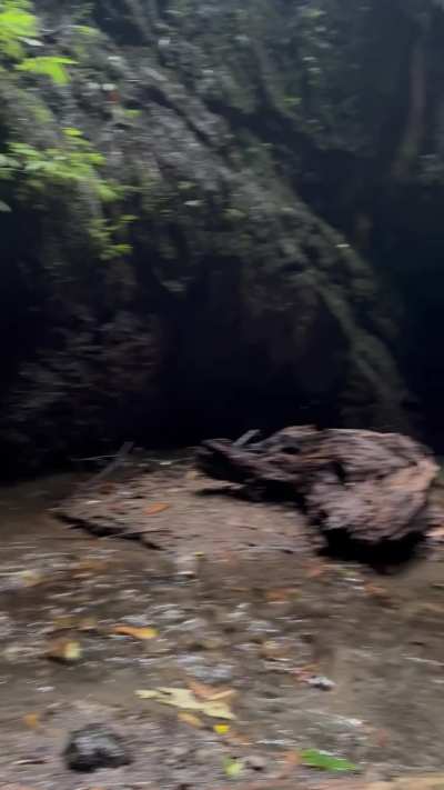 Love to shake it in pretty places