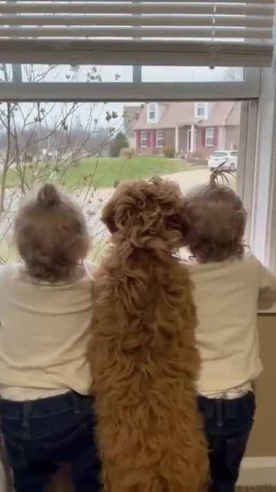 Big brother is coming home