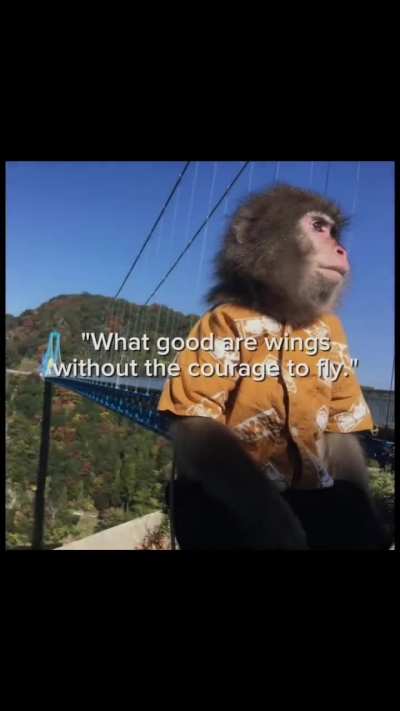 Use your wings clown🪽