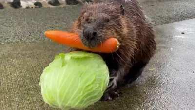 When your inventory is full and you're trying to make it back to base.