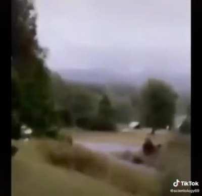 A bit moldy but not too bad yet.