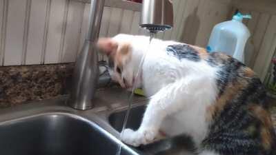 When you haven't quite mastered drinking...