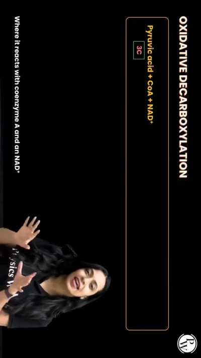 Shape of you (Krebs Cycle) 