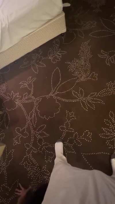 Look how happy she is being a pet, maybe you should become one too