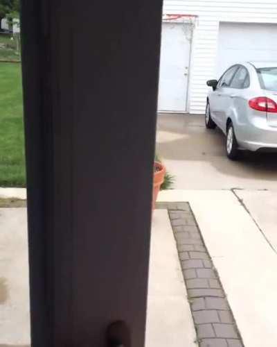 dog thought she was so sneaky when she didn’t want to come inside