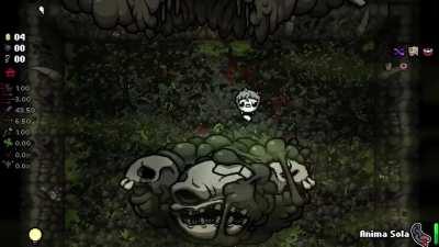 A Hilarious/Terrifying Glitch That Anima Sol Can Cause