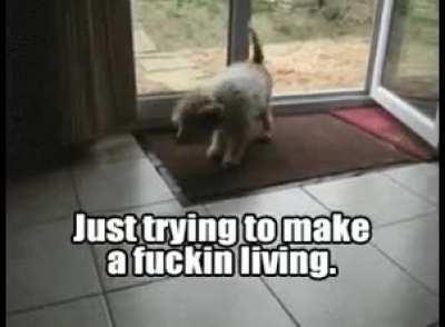 Doggy wipes his feet. He's a good boy.