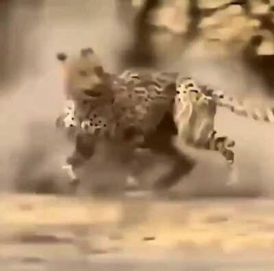 Its my turn now!!! 😈😈😈