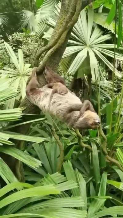 🔥sleeping with mom