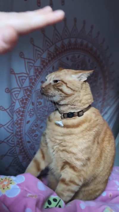 He will not allow a nap