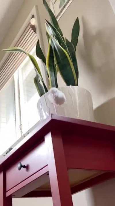 90’s Nostalgia.. 😂