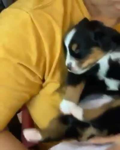 Best friends forever ❤️