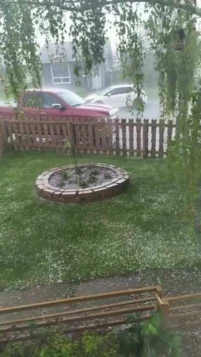 Oh no... Vietnam Flashbacks