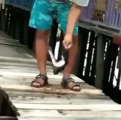 Bridge that Keeps on Giving