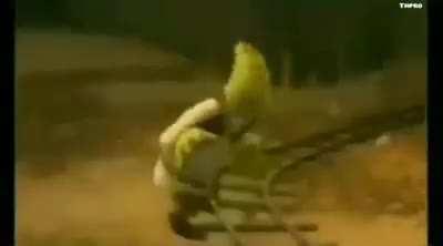 G0ularte - Video #5840