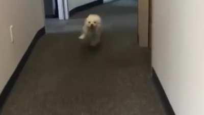 An alle, die das hier sehen: Wenn ihr noch welche habt, sendet bitte Clips bei r/HuebiOhneKontext ein. Das Video ist noch nicht mal 1:30 lang und ich würde schon gerne auf zwei Minuten kommen