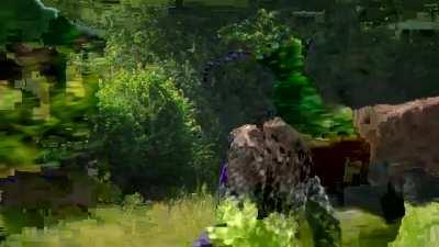 “Horse, I shall call you Tesco”- Jeremy Clarkson (greatest man alive)