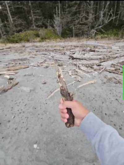 When it looks like a weapon (2of15)