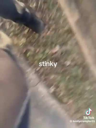 Drake the type of tittilating thug to fart on a cop's vehicle 