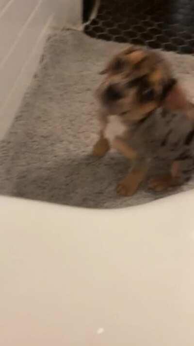 To save mom from drowning