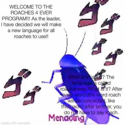 Any questions? Put them in the comments!