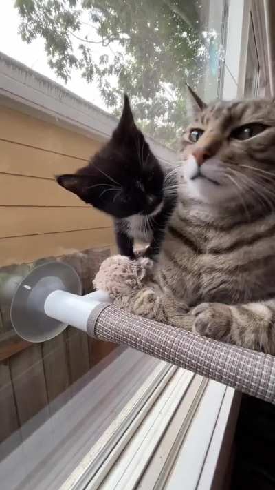 Her love remains unrequited