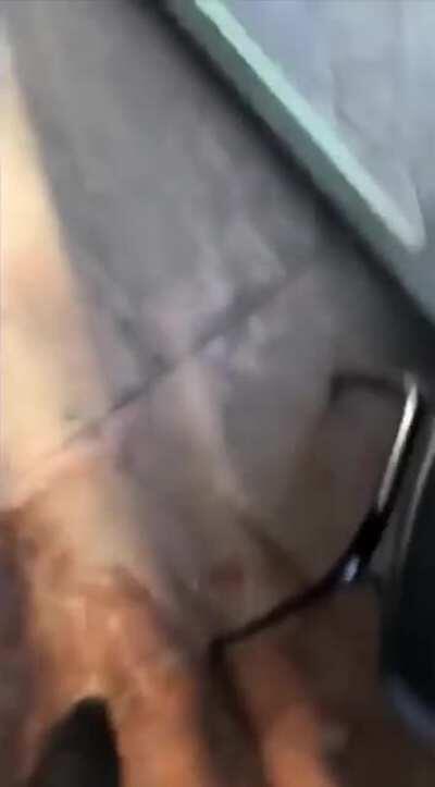 The floor is so much more interesting...