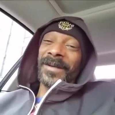 Brooo el perro fisgoneador, escuchando let it go, se me salió una lágrima amigaaaaaaa😎😎