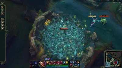 In Response to the TIL about the fiddle effigies. What it looks like if you scare them away.