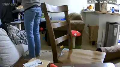 Paul did not want to go to the vet