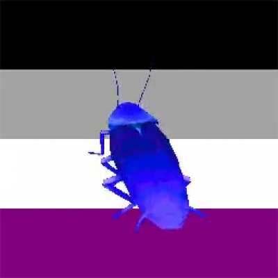 Ace pride bröther, will be making more pride bröthers