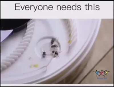 This Fly Trapper keep on trapping the flies