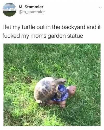 it's time to hear that dinasaur sound ☠️