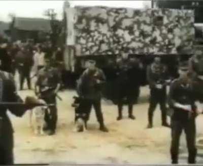 POV: Your Jewish ☠️